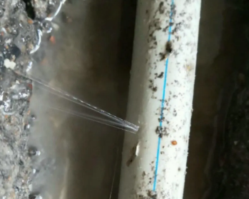 大方卫生间测漏水多少钱