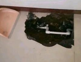 大方卫生间测漏水多少钱